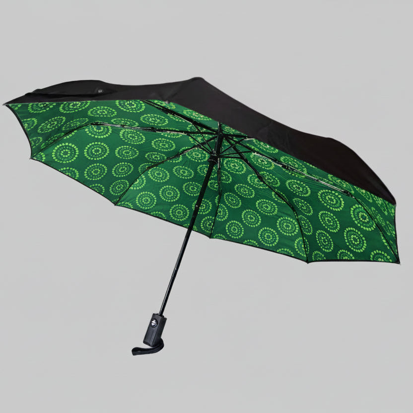 Green patterned umbrella on a white background